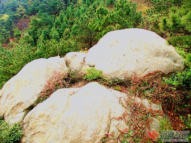 DSCN1176_副本.jpg