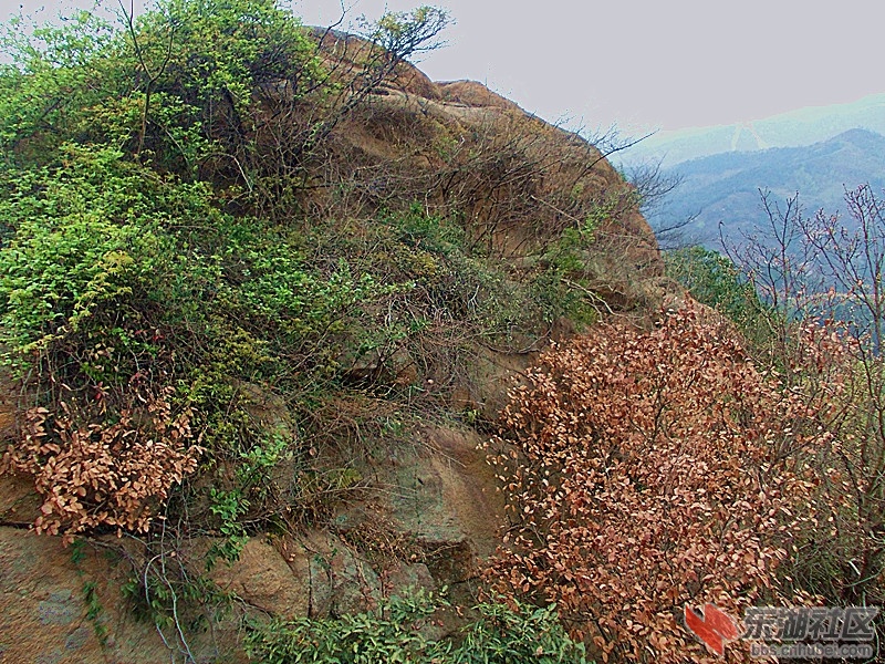 DSCN1177_副本.jpg