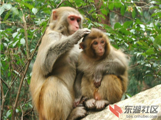 QQ图片20160311232919.png