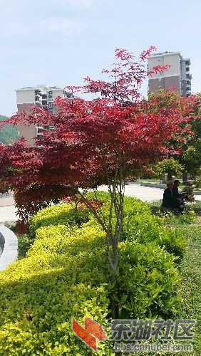 20160430_130634.jpg