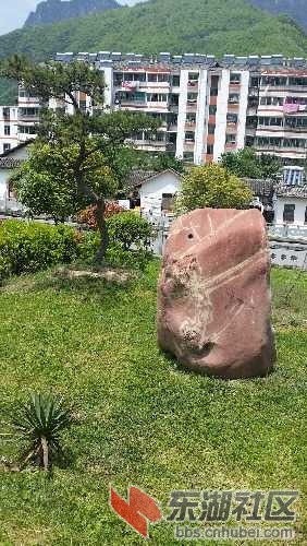 20160430_130611.jpg