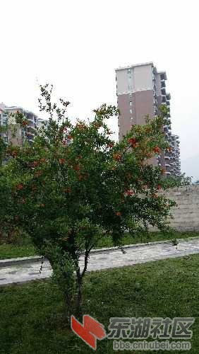 20150620_104322.jpg