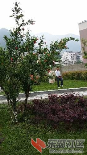 20150620_104331.jpg