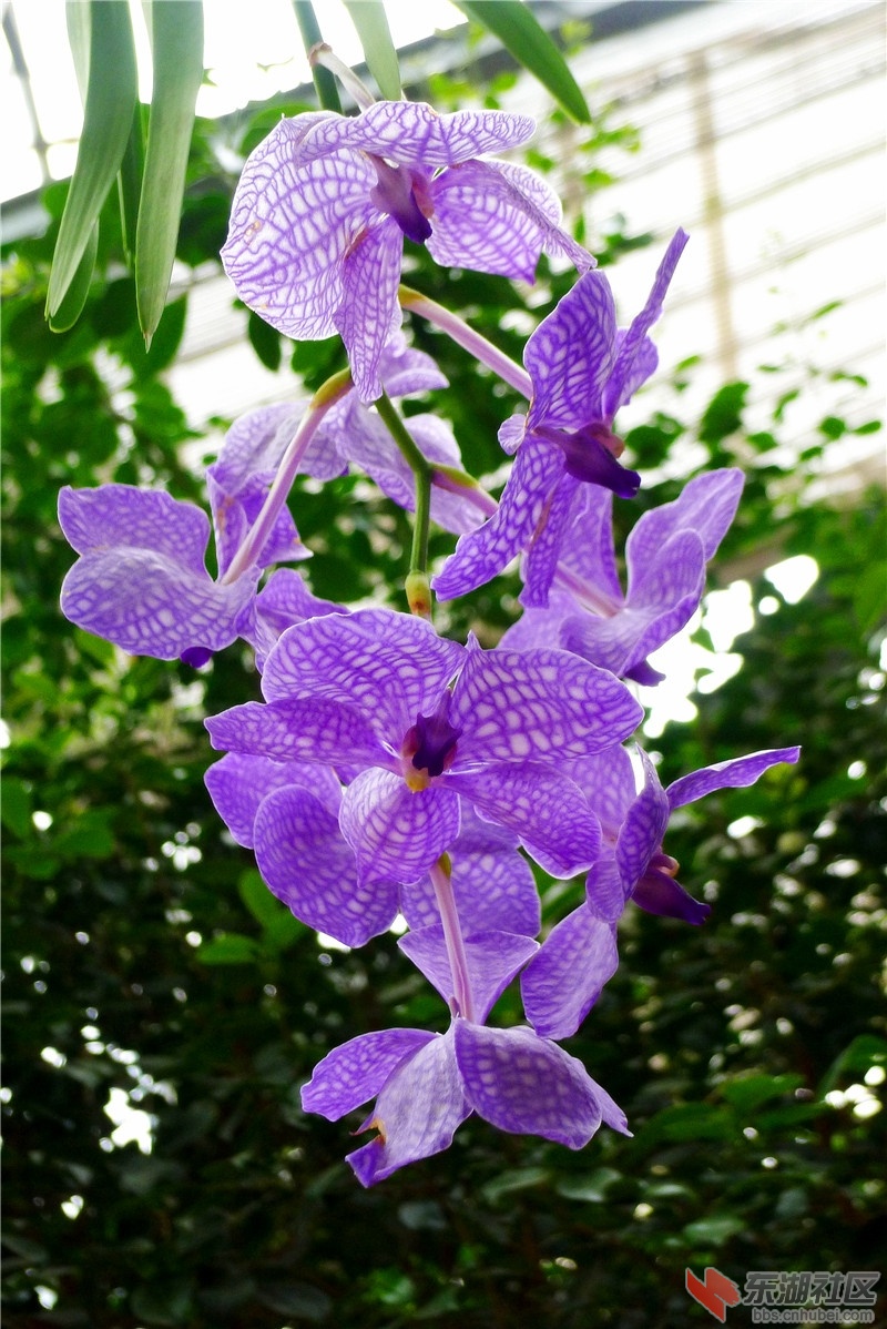 P2060999_看图王.jpg
