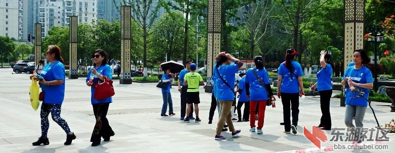 P5010262_conew1.JPG