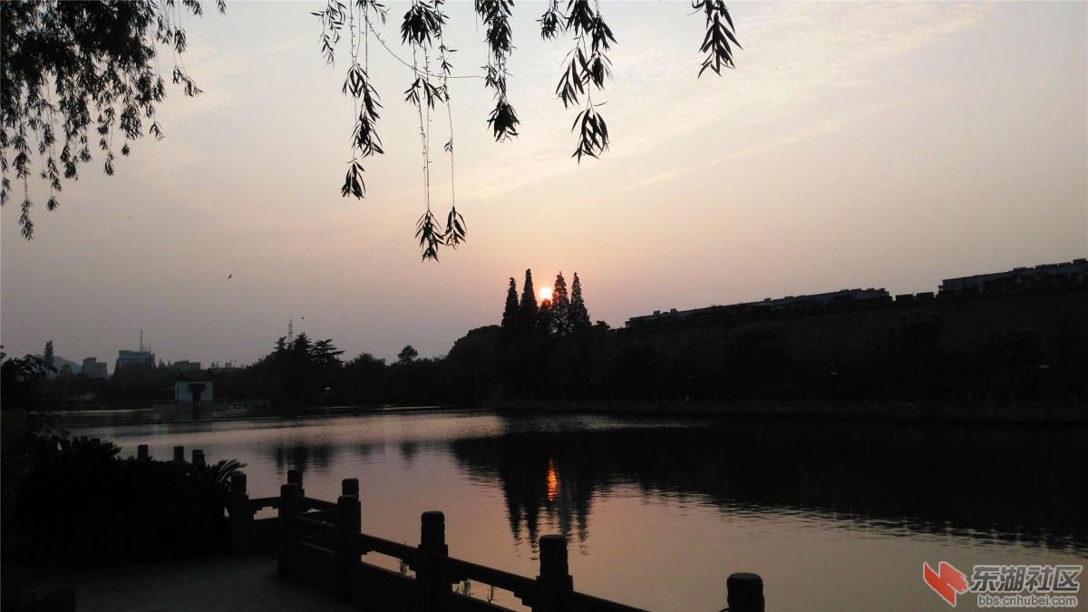 IMG_20160501_183837_副本.jpg