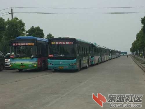 mmexport1462167122074.jpg