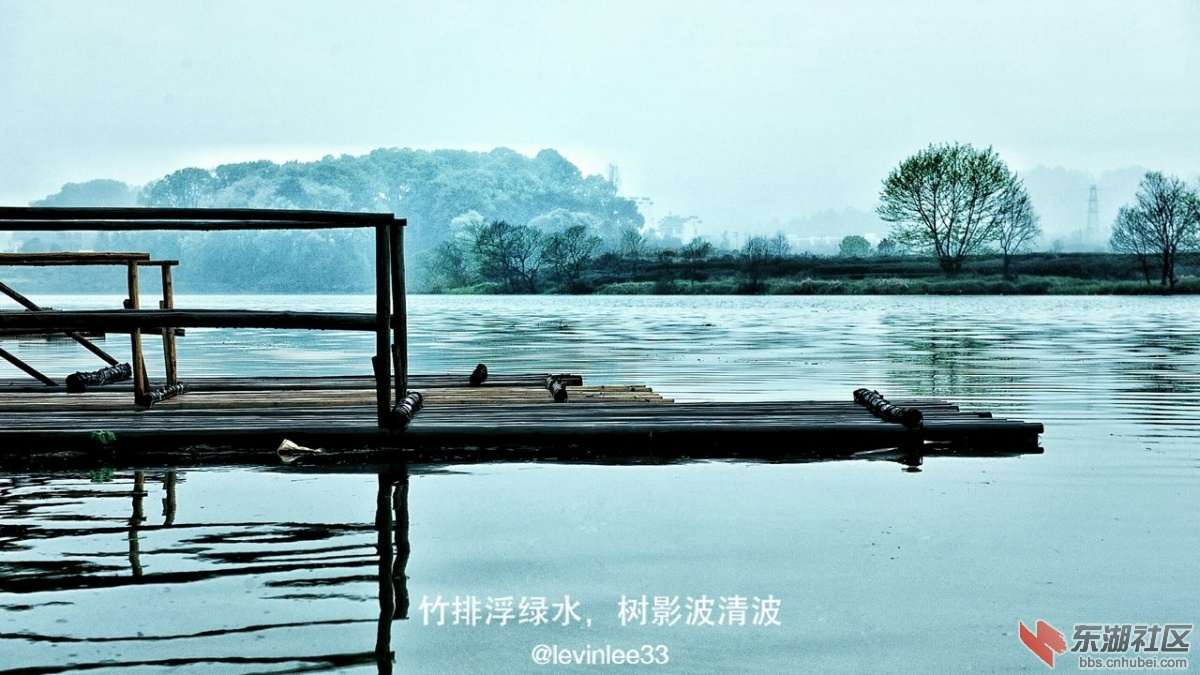 IMG1459996284650.jpg
