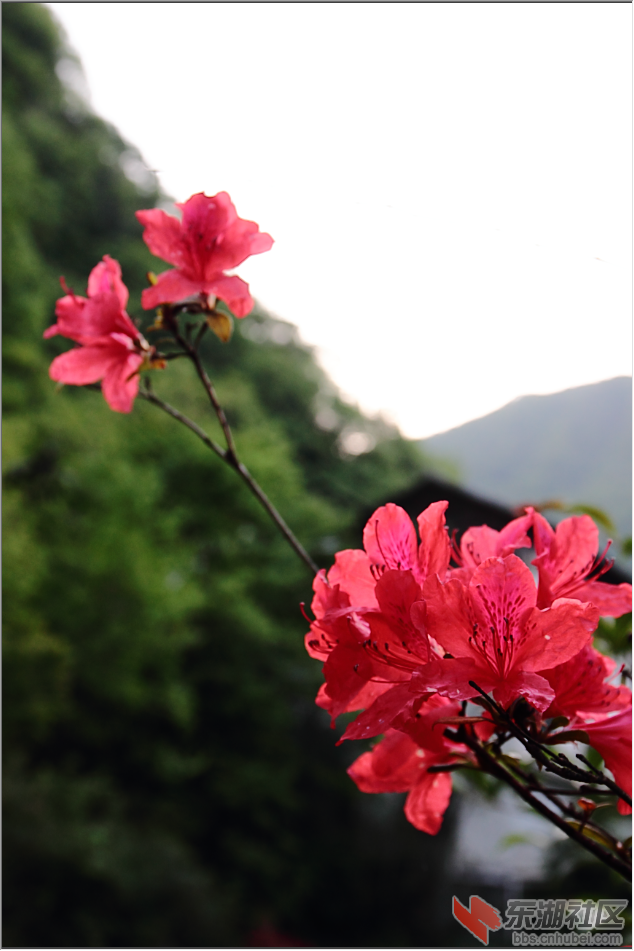 1789597254@chatroom_1462275575601_27.png