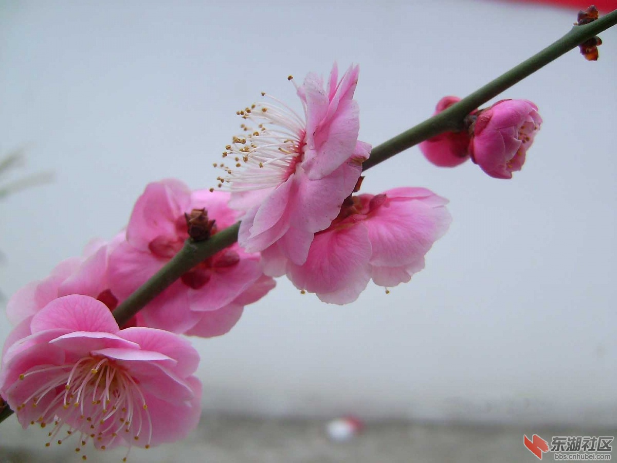 PICT3128.jpg