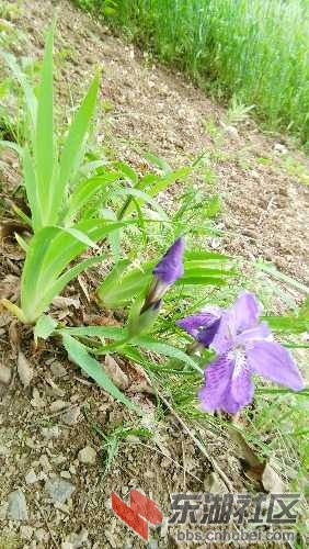 IMG_20160424_143105.jpg