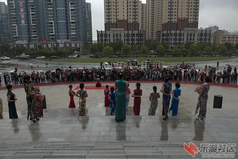 DSC_8052.jpg
