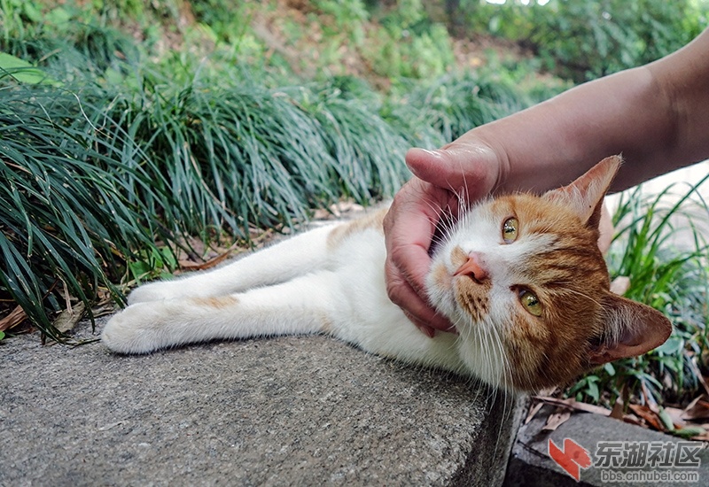 DSC06249_副本.jpg