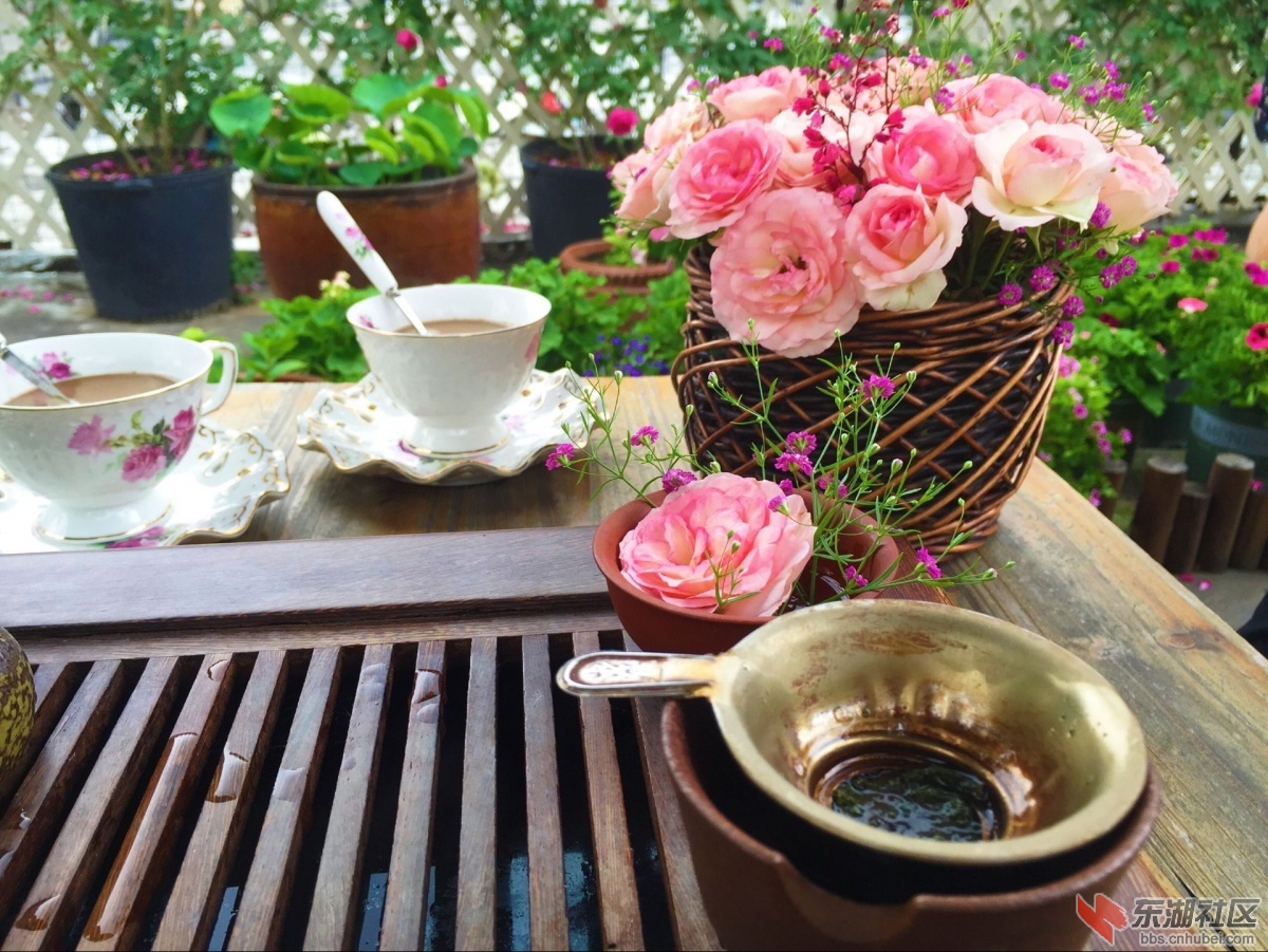 QQ图片20160510170102.jpg
