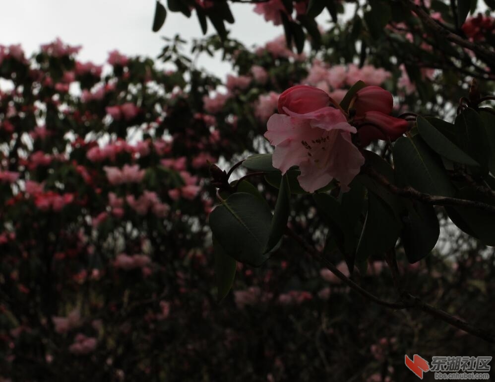 QQ图片20160509002244.jpg