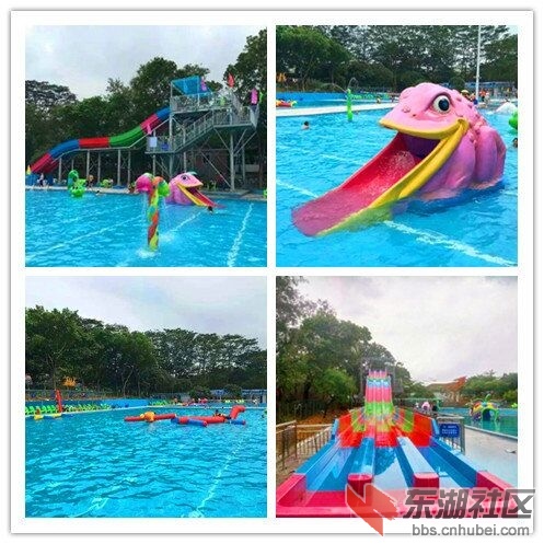 QQ图片20160511111611 - 副本.jpg