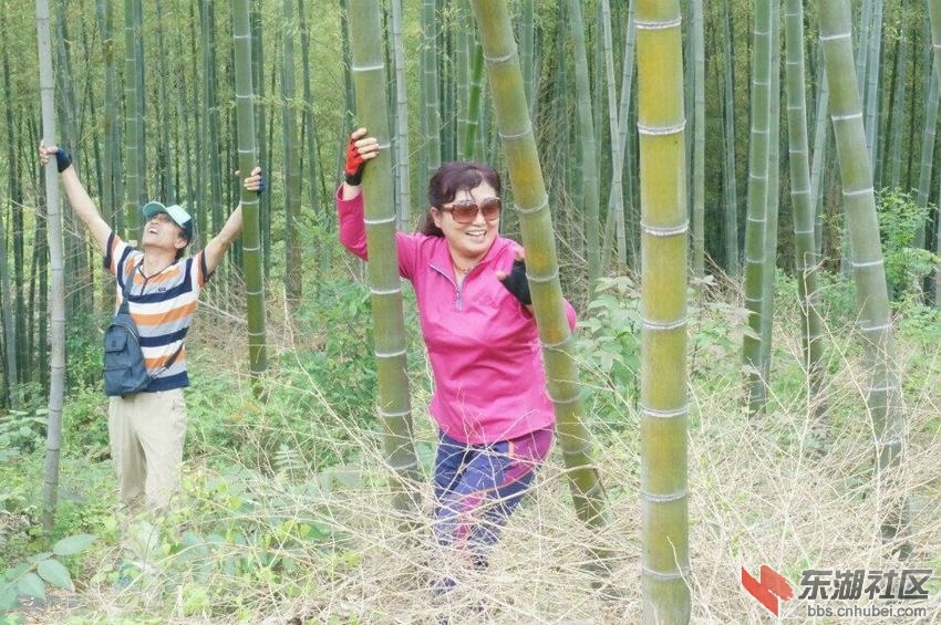 QQ图片20160517214156.jpg