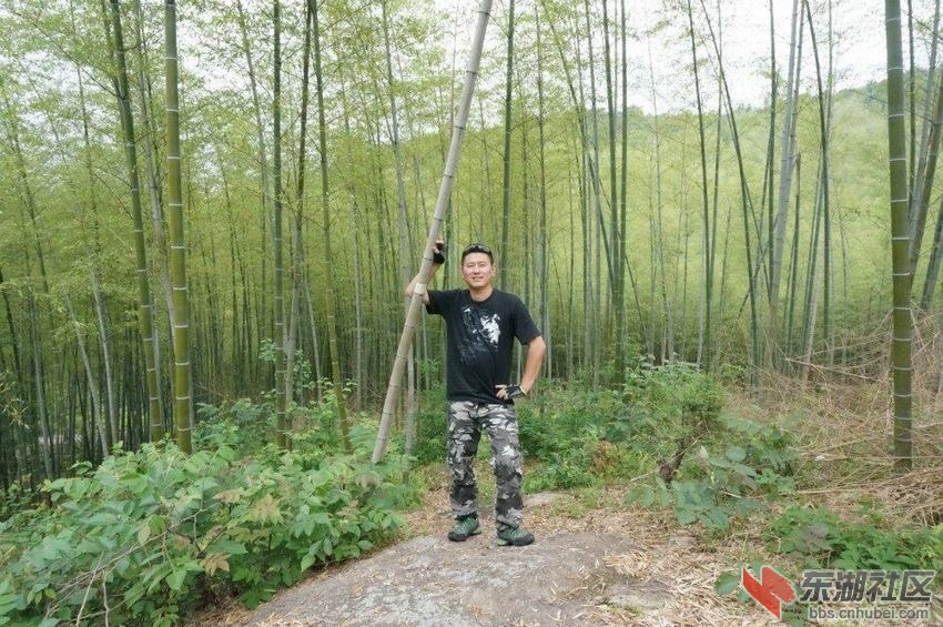 QQ图片20160518112336.jpg