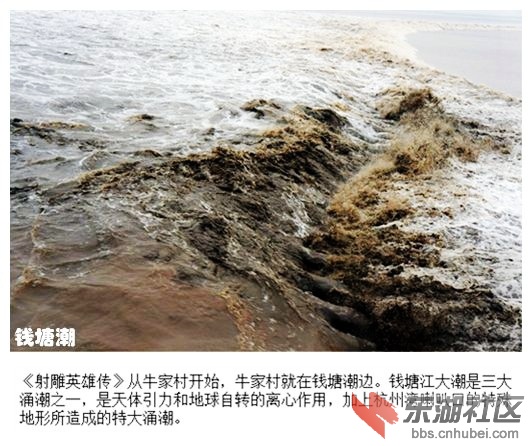 05钱塘潮.jpg