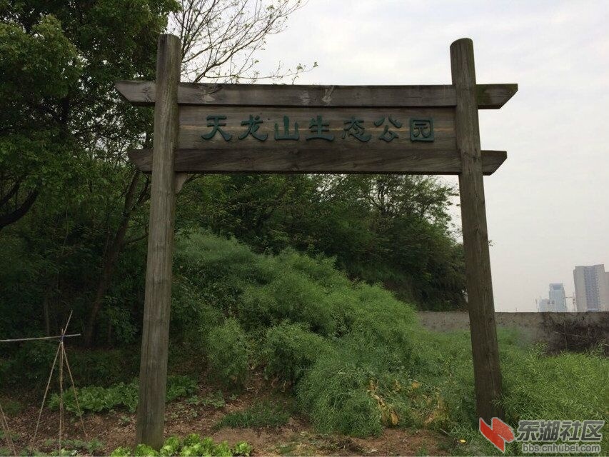 吴都大道城铁南侧（新庙镇月陂村）