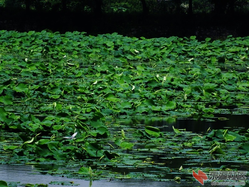 DSCF8317_调整大小_exposure.JPG