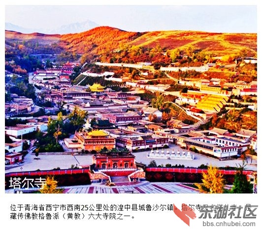 10塔尔寺.jpg