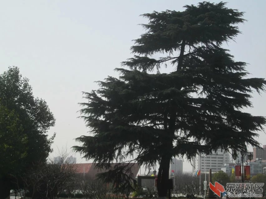 775.jpg