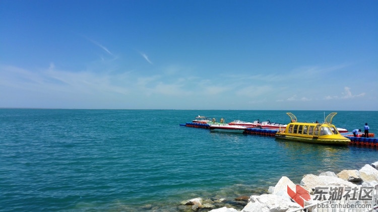 IMG_20150731_125348.jpg