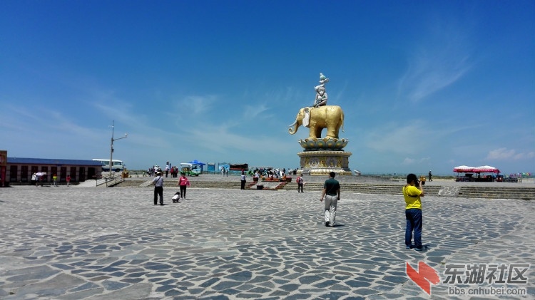 IMG_20150731_133108.jpg