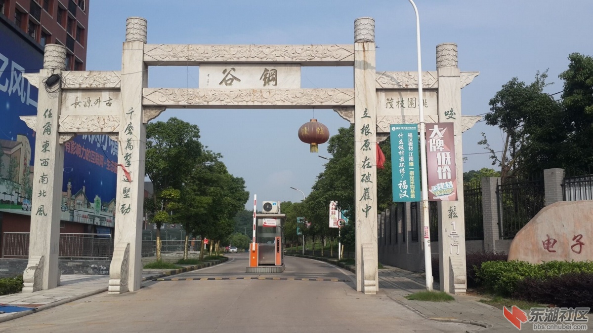 555.jpg