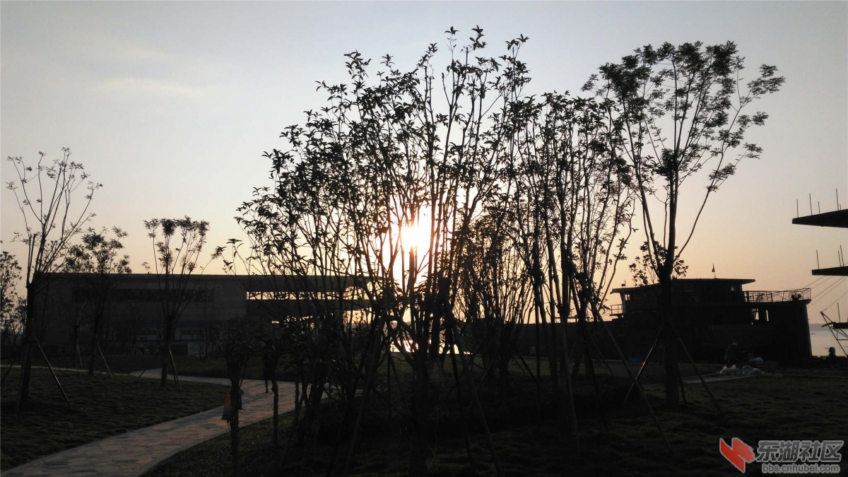 IMG_20160616_061146_副本.jpg