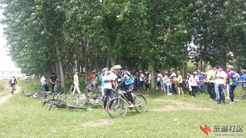 QQ图片20160604162027.jpg