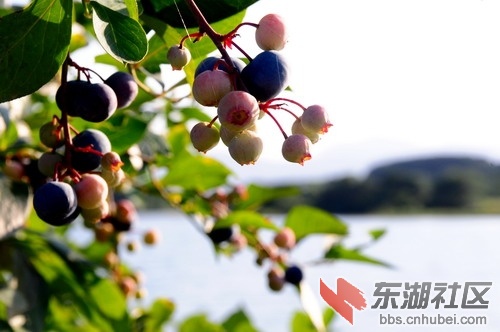 DSC_5382_缩小大小.JPG