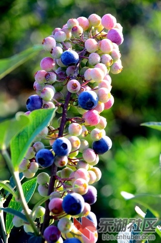DSC_5398_缩小大小.JPG