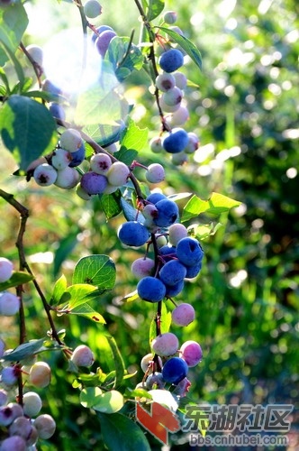 DSC_5399_缩小大小.JPG