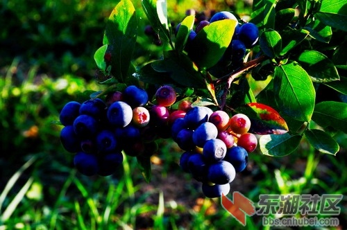 DSC_5391_缩小大小.JPG