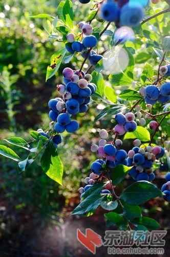 DSC_5406_缩小大小.JPG