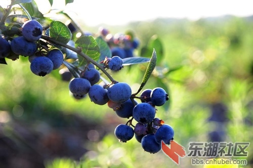 DSC_5417_缩小大小.JPG