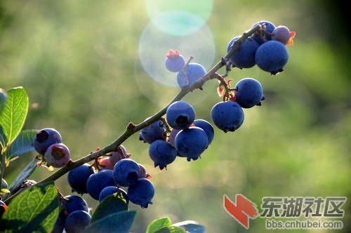 DSC_5443_缩小大小.JPG