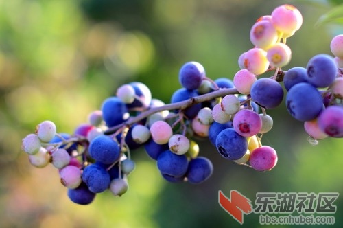 DSC_5453_缩小大小.JPG