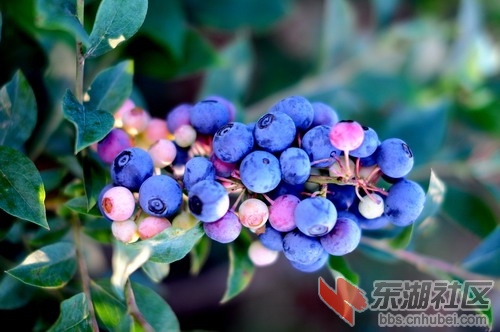 DSC_5466_缩小大小.JPG