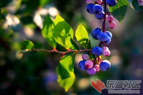 DSC_5475_缩小大小.JPG