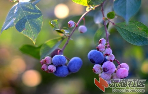 DSC_5478_缩小大小.JPG
