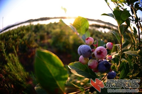 DSC_5482_缩小大小.JPG