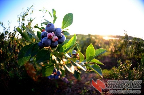 DSC_5484_缩小大小.JPG