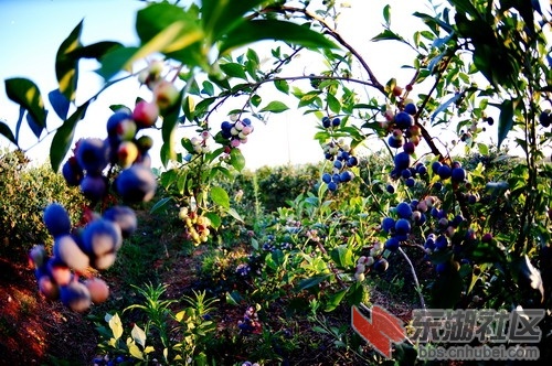 DSC_5486_缩小大小.JPG