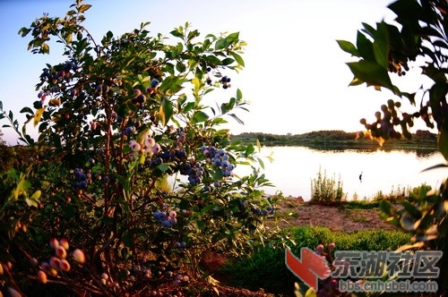 DSC_5503_缩小大小.JPG