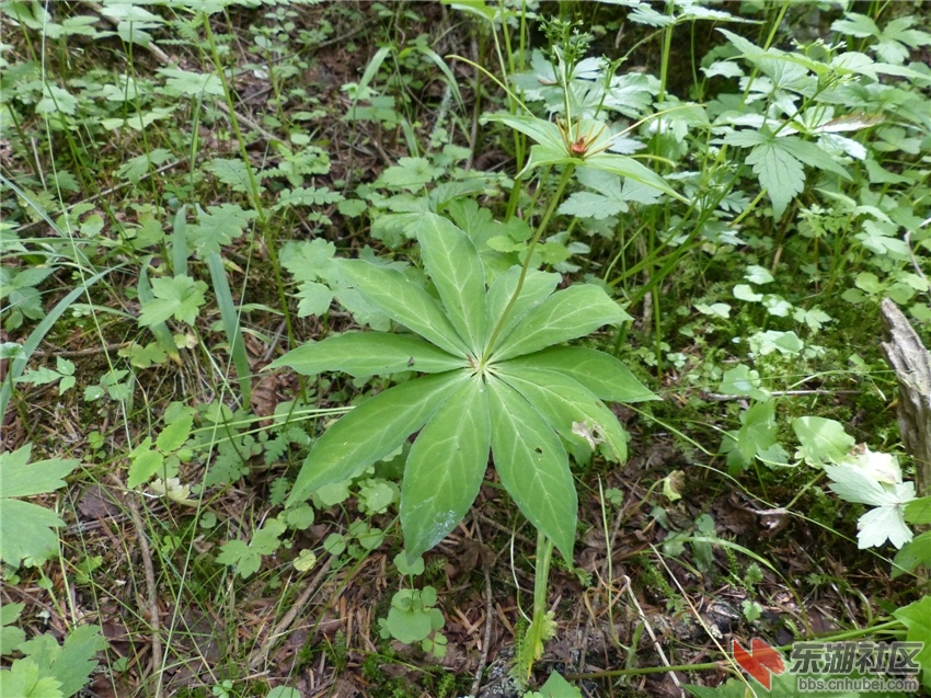 L1080841.jpg