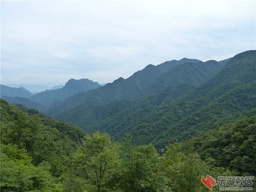 L1080856.jpg