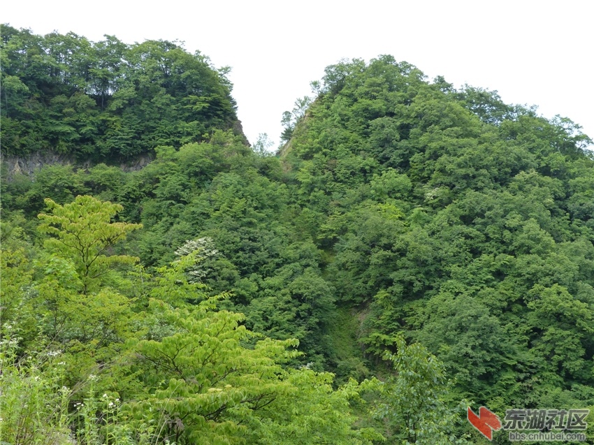 L1080860.jpg